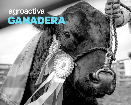 CRONOGRAMA AGROACTIVA GANADERA