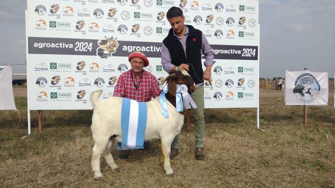 Los caprinos Boer exhibieron la mejor genética en AgroActiva