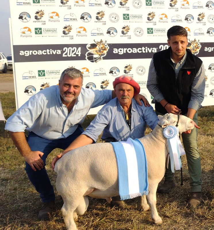 Embanderados en lana y carne, los ovinos revolucionan AgroActiva en Armstrong