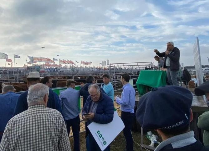 AFA con fuerte presencia en las pistas ganaderas de AgroActiva, con tres remates 