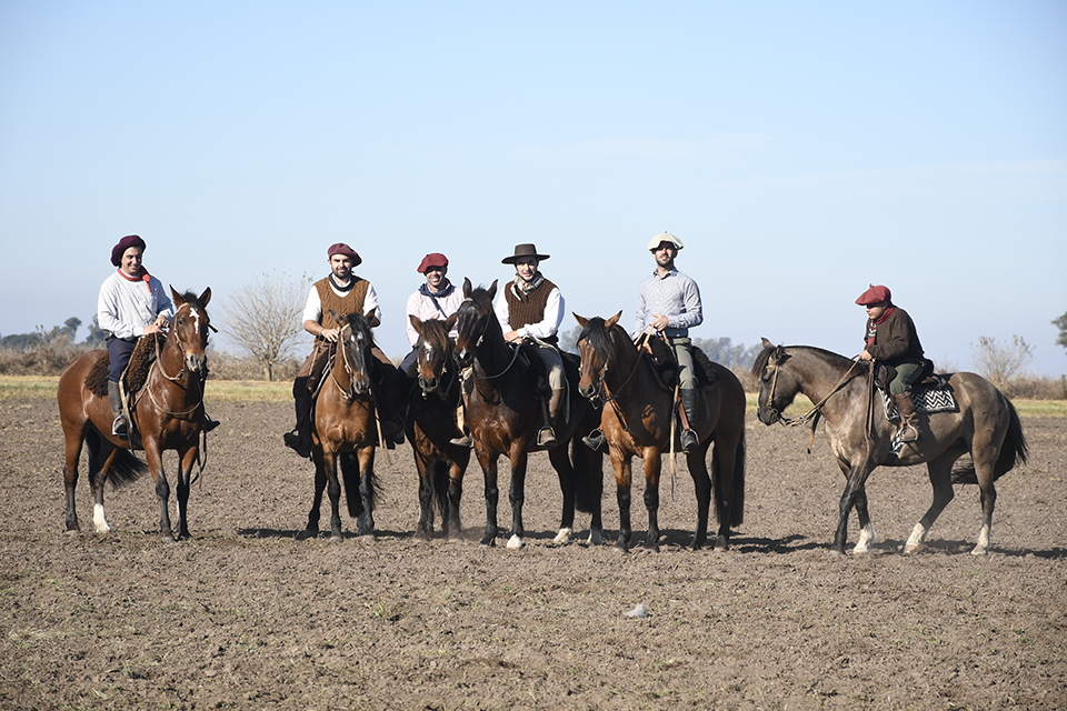 AgroActiva vivió una vibrante jornada de ganadería con sol pleno y exhibiciones de caballos criollos