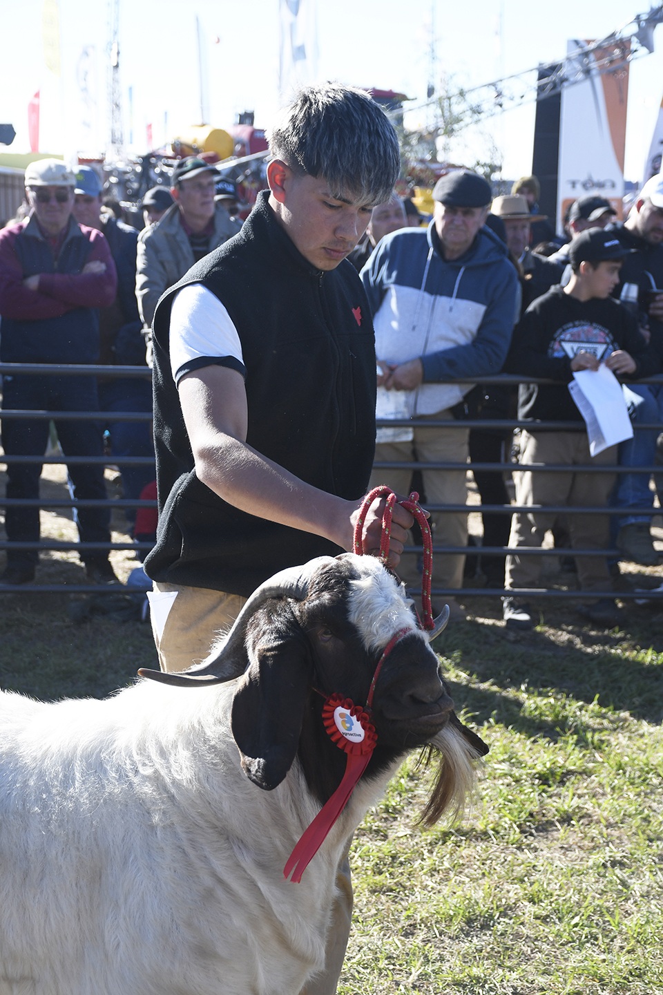 La Expo Otoño Boer debutó con éxito en AgroActiva y marcó un hito para la nueva asociación de criadores