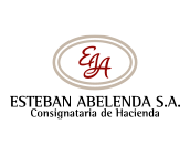 Esteban Abelenda