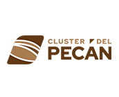 Cluster del Pecan