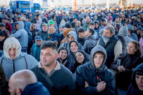 PORTICO AGROACTIVA-040