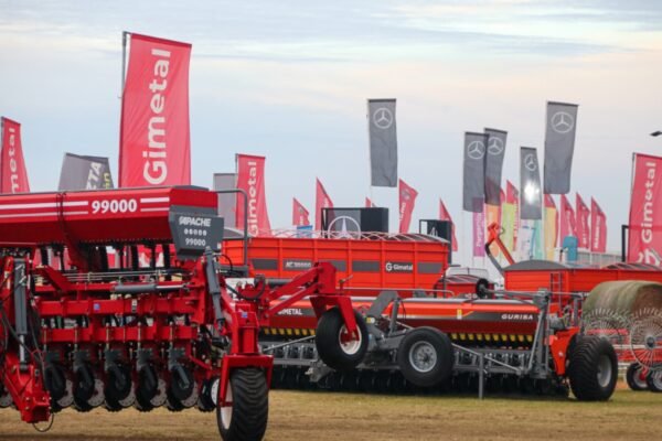 WhatsApp Image 2025-07-31 at 08.44.42 2