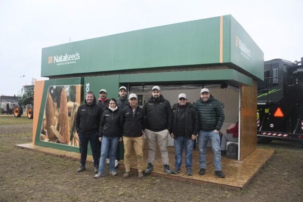 WhatsApp Image 2025-08-01 at 18.37.31 1