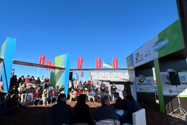 WhatsApp Image 2025-08-01 at 6.49.04 PM 4