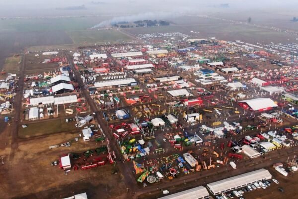 WhatsApp Image 2025-05-29 at 17.15.14 1