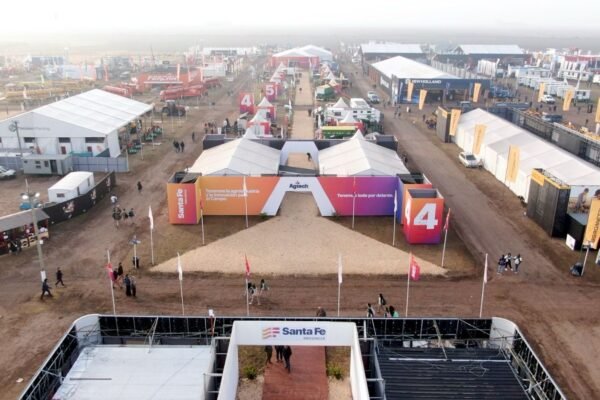 WhatsApp Image 2025-05-29 at 17.15.14