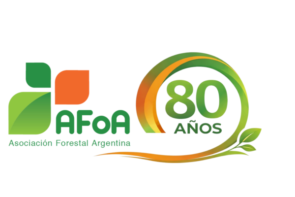 Logo 80 AÑOS Logo 80 AÑOS