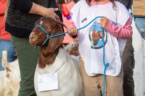 Agroactiva 2026 (16)