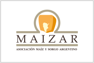 Entidades 3 Entidades 3