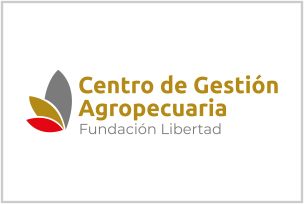 Entidades 4 Entidades 4